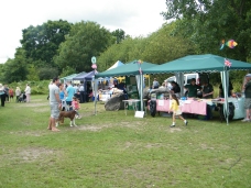 Funday 2014 photos