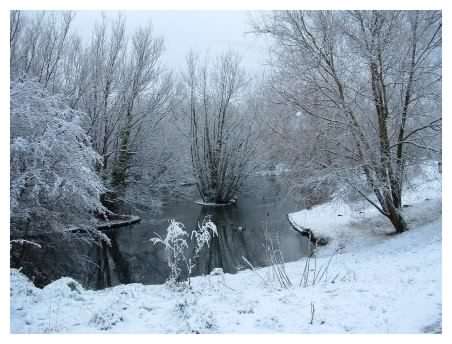 Top end of pond (left)