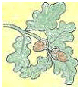 The Friends of Muntz Park home page The Friends of Muntz Park home page