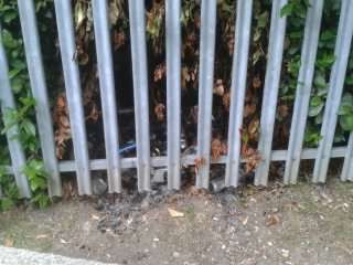 An incinerated H. sapiens stupidus midden behind security fencing
